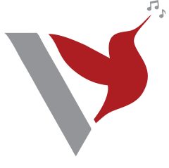 Voices Free Charity